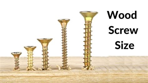 wood screw types and sizes.